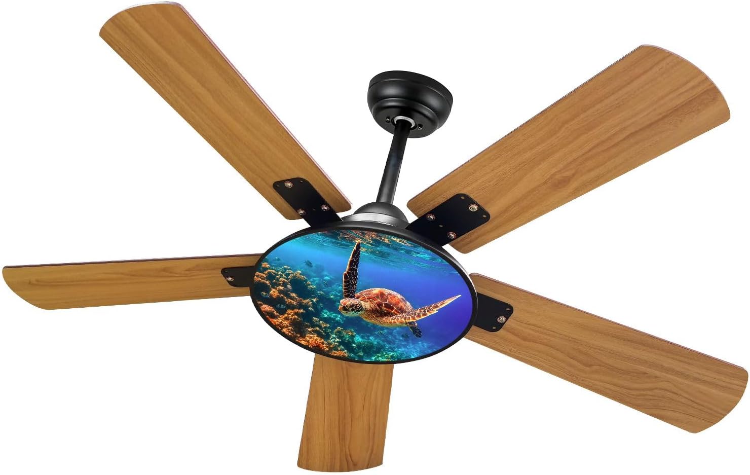 Modern Ceiling Fans with Lights Remote, Sea turtle swims under water coral reefs 42 Inch Ceiling Fan for Bedroom Living Room Farmhouse, 6 Speed Reversible Quiet Motor