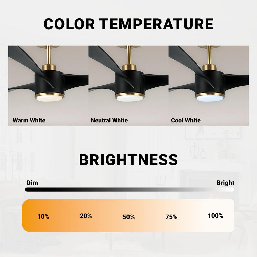 Wynwood QL2314BK 60-Inch Matte Black Edgewater Ceiling Fans with Lights, DC Motor, 6-Speed Remote Control, 3-CCT Dimmable LED, Reversible Airflow, ABS Blades, Downrod Mount, Indoor Ceiling Fan
