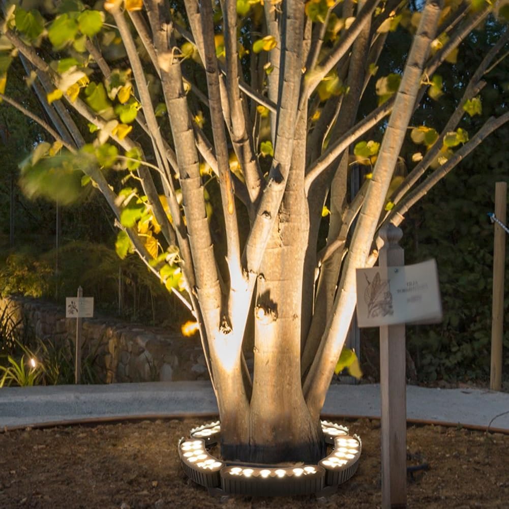 Ring Lights for Tree Roots Uplighting, Outdoor Low Voltage Landscape Lighting Kit,IP65 Garden Lights Decorate,12W 1160LM 24V Wired Outdoor LED Spotlight for Tree Building(3000K,5-Lights)