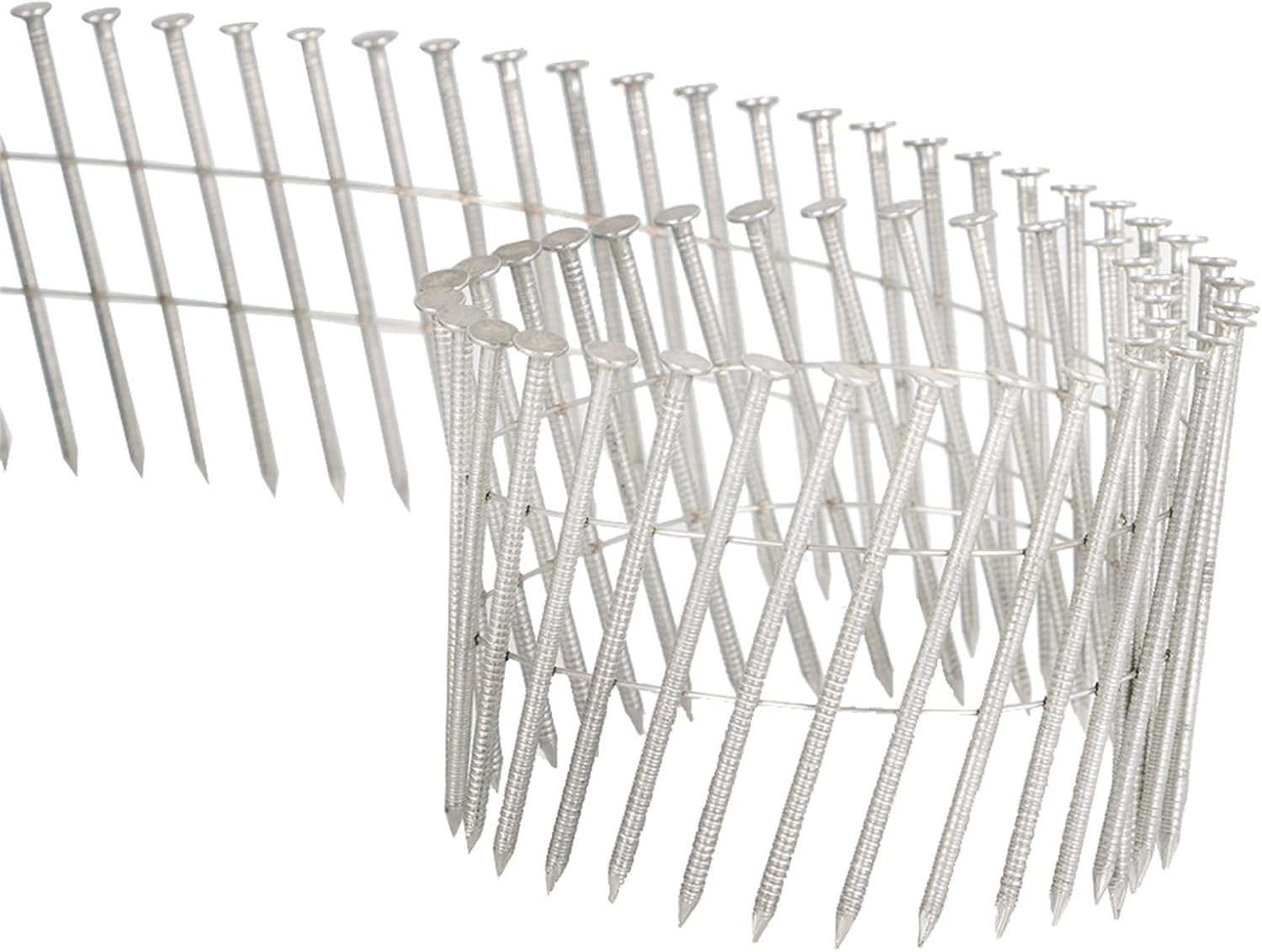3600 Count 2 Inch Stainless Coil Siding Nails 15 Degree Coils, Small Cap Coil Nail, Cap Warp 5.8-6mm 0.09 Inch Ring Shank for Cement Board Siding or Fencing Applications