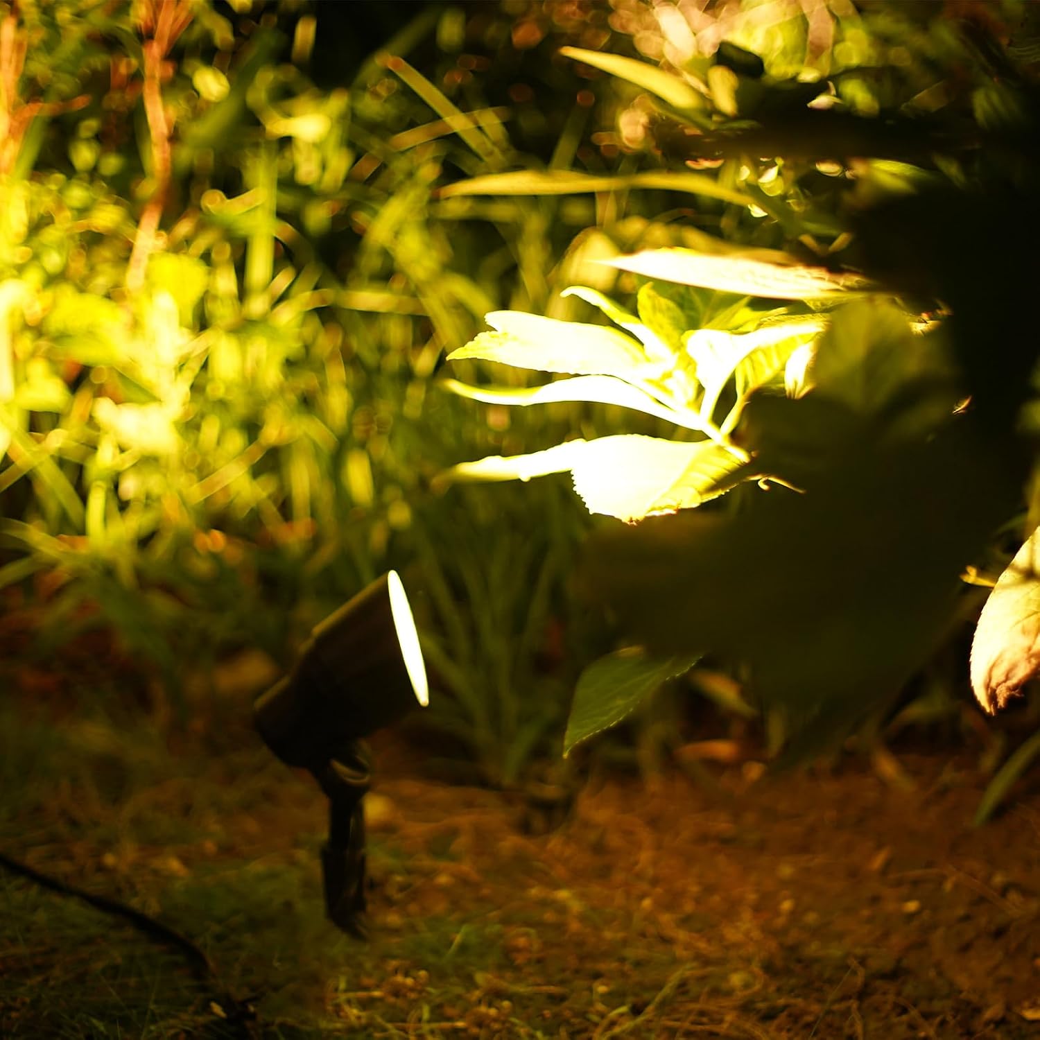 Low Voltage Landscape Spotlights 20W Halogen Spot Lights 12V AC 12PK Outdoor Black Landscape Lighting Kit with Spike Stakes and Connectors 145 Lumen for Garden Lawn
