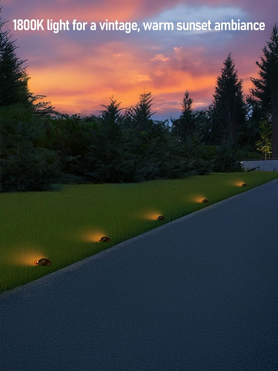 LEONLITE 5W Well Lights Landscape LED, Low Voltage Inground Light Outdoor, Round Top, 1800K/2700K/3000K/4000K/5000K Adjustable, Aluminum, ETL Listed, IP67 Waterproof, 12VAC/DC, CRI90, Black, Pack of 6