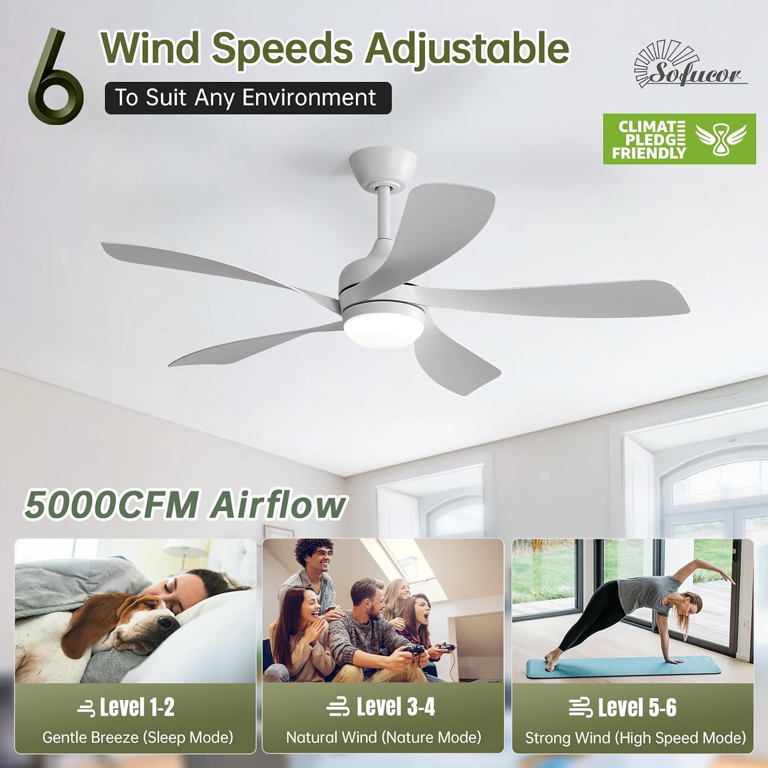 Sofucor 52 Inch Ceiling Fan with Light, Modern Ceiling Fan with Dimmable Memory LED - Quiet DC Motor, 6 Speeds 5000CFM, Timer, Reversible, for Living Room Bedroom, ETL, 5 Plastic+ABS Blades, White