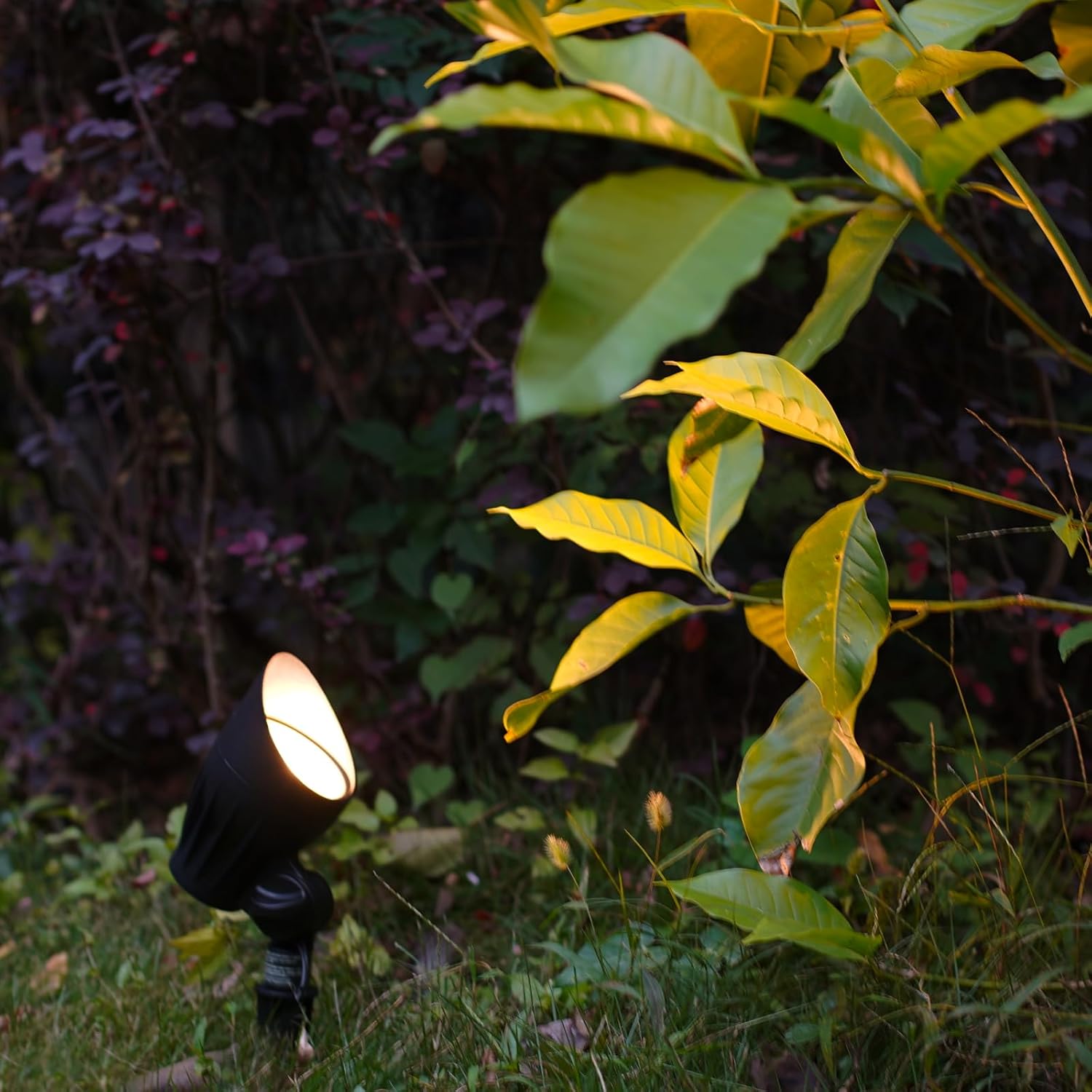Low Voltage Spotlights 11W LED Spot Lights 12V Outdoor 8PK Black Landscape Lighting Kits 300 Lumen 2700K Warm White Metal Flood Lights with Spike Stakes and Connectors for Driveway Lawn Garden
