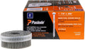 Paslode Coil Siding Nail, 650955, 1 7/8 inch x .086 Gauge, Hot Dipped Galvanized, 3,600 Per Box