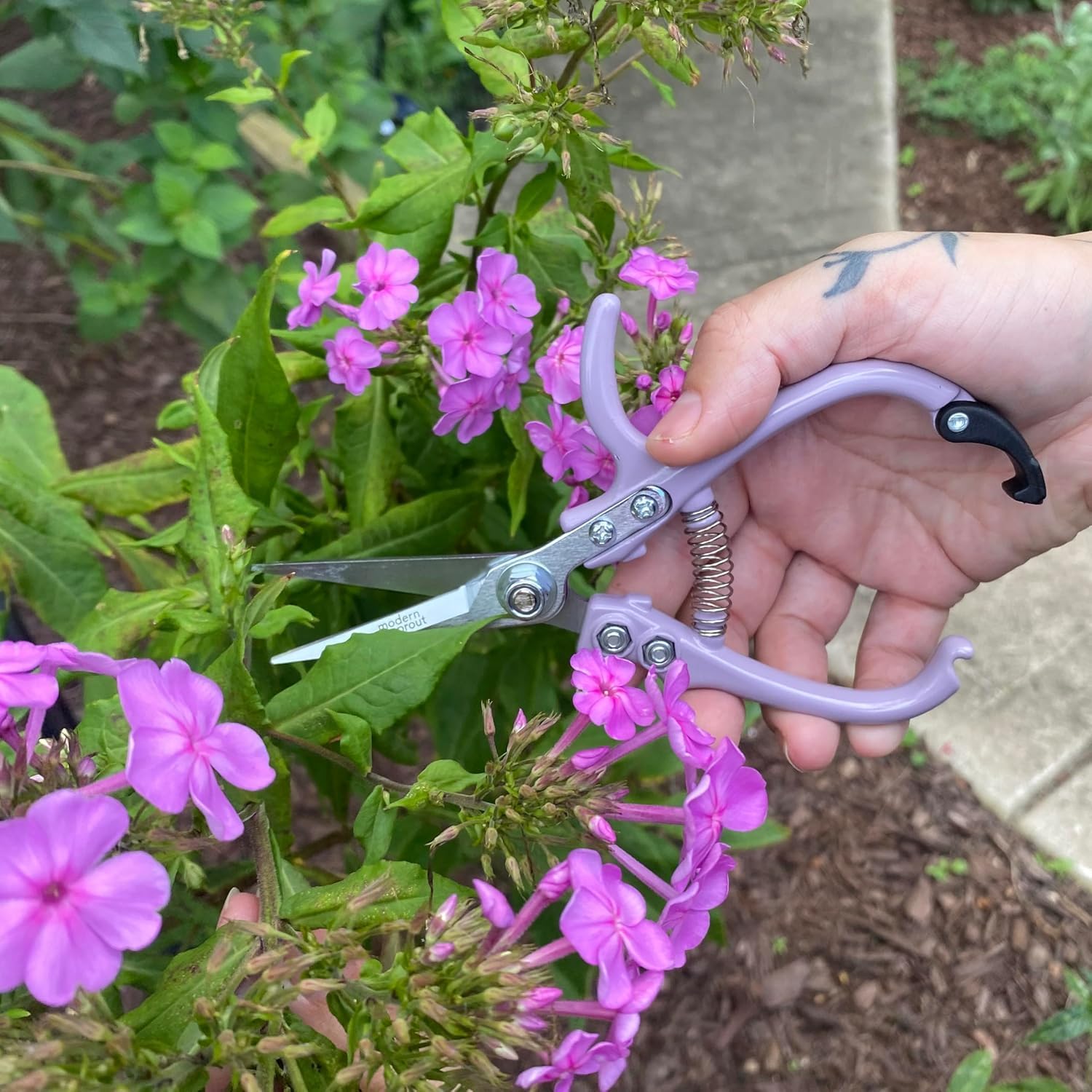 Modern Sprout Pruning Shears - Herb Snipping Scissors- Lightweight Gardening Tools W/Easy Lock - Flower Cutter Garden Shears - Gift for Father's Day -Carbon Steel Blade+Reusable Holster(Multi,12 Pcs)