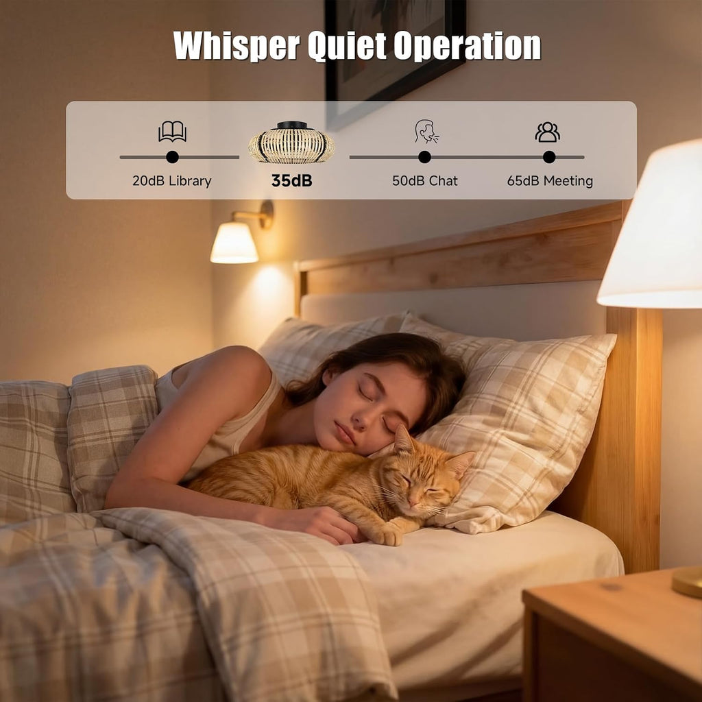 ocioc 20' Fandelier Ceiling Fans with Lights and Remote,Caged Ceiling Fan with Light,Flush Mount,Low Profile,Bladeless,Quiet Reversible DC Motor,Boho Rattan Ceiling Fan for Bedroom