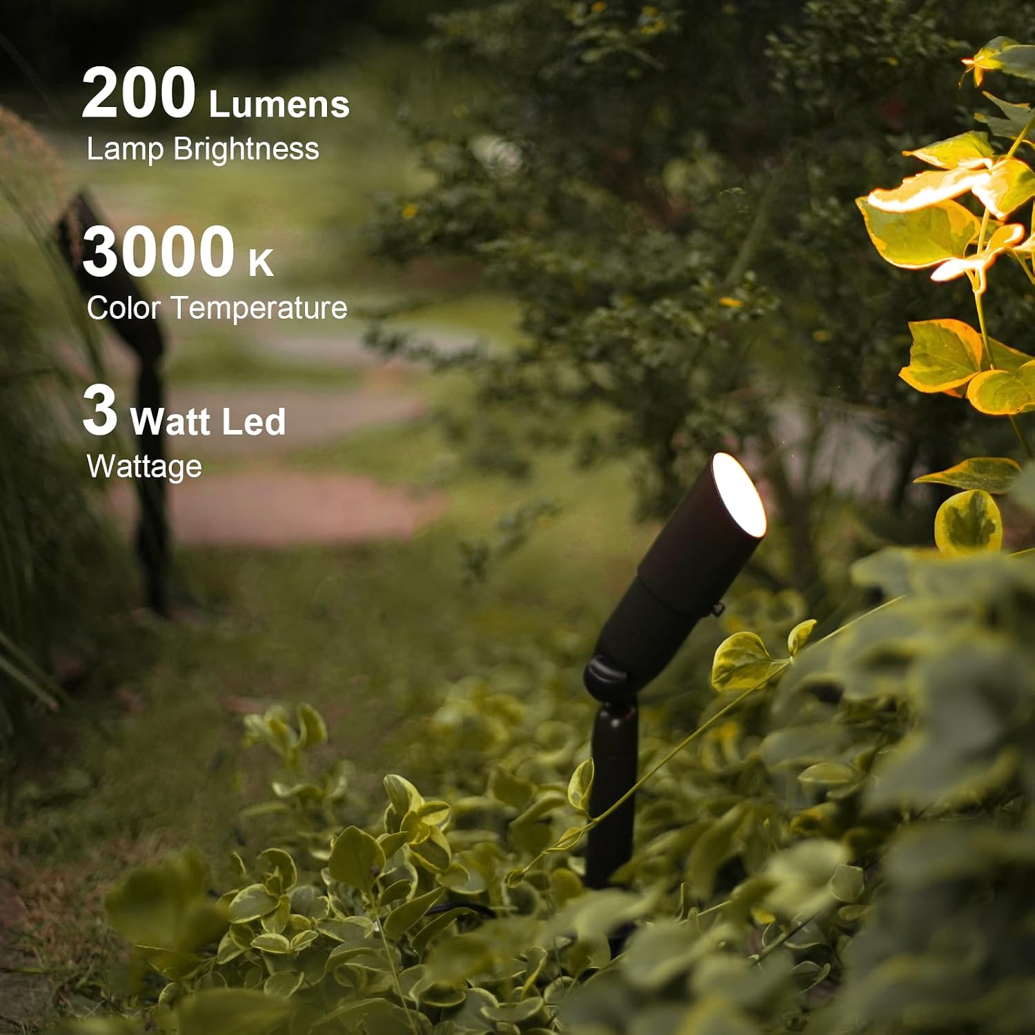 GOODSMANN 8PK Low Voltage Landscape Lighting Kits 8PK Floodlight & Spotlight 3W LED 200 Lumen Replaceable Bulbs 3000K Warm White 12V AC Tree Lights Garden Up Light Hardwired Lighting Cable Connectors