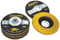 Arc Abrasives 71-10845AF Predator Type 29 Flap Discs, 60-Grit, 5-Inch by 7/8-Inch,10-Pack
