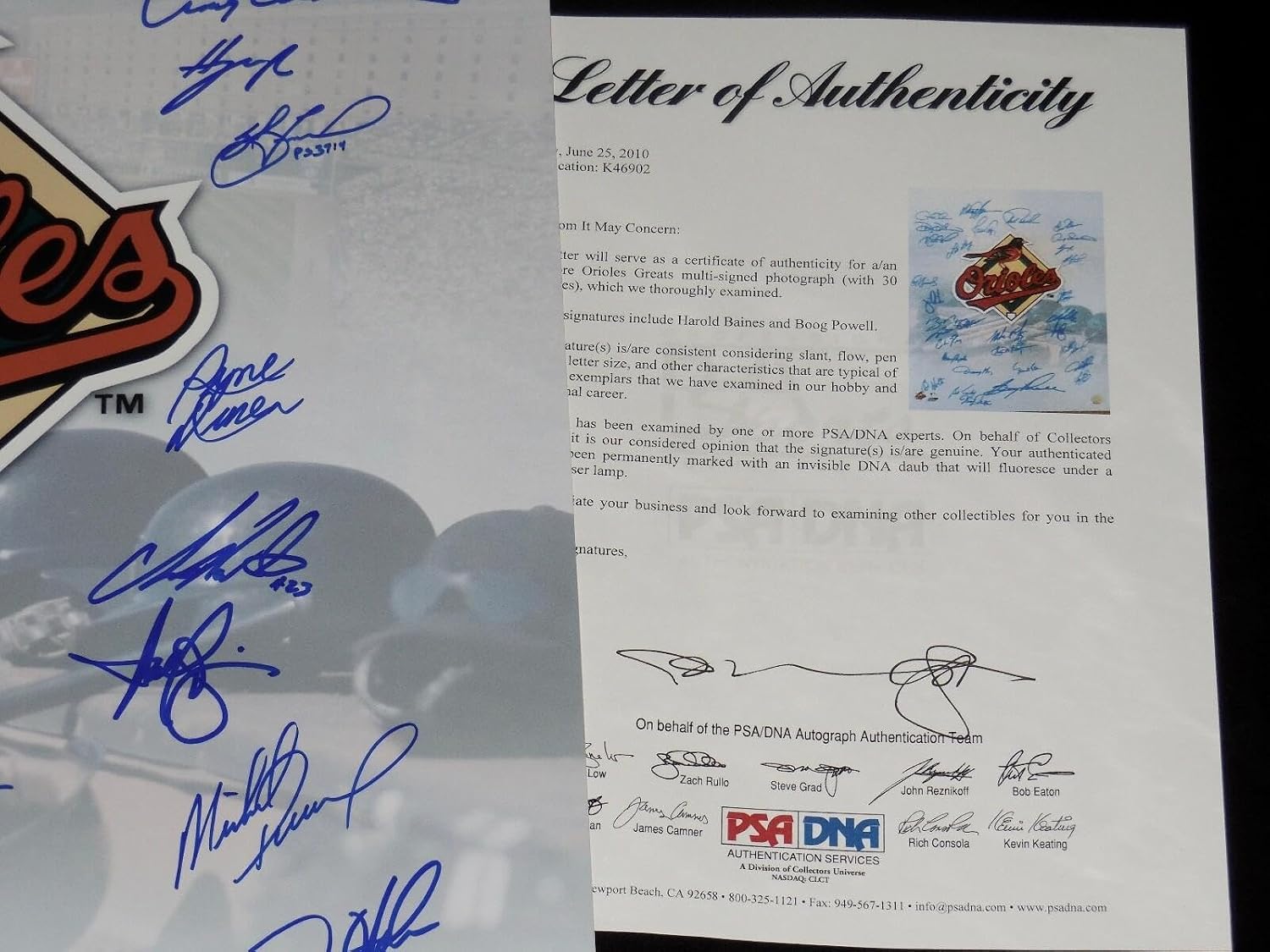 BALTIMORE ORIOLES AUTOGRAPHED 16x20 PHOTO (PSA DNA) - Baines, Powell, B.Ripken, - Autographed MLB Photos
