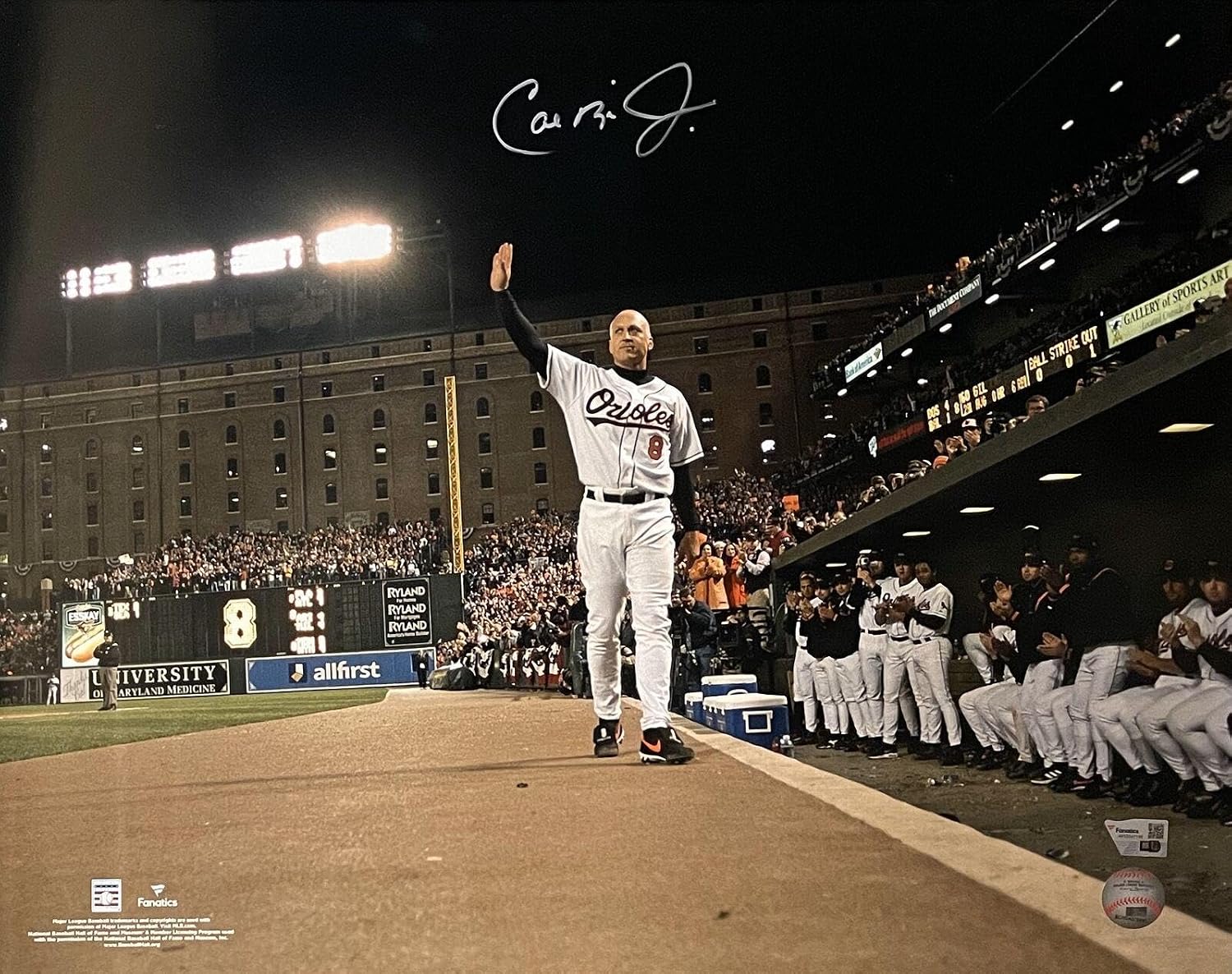 Cal Ripken Autographed/Signed Baltimore Orioles 16x20 Photo FAN 44476 - Autographed MLB Photos