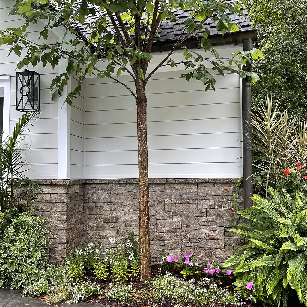 Evolve Stone Capital Sky MA Non-Rated Flat Stone Veneer (14.25 sq. ft.)