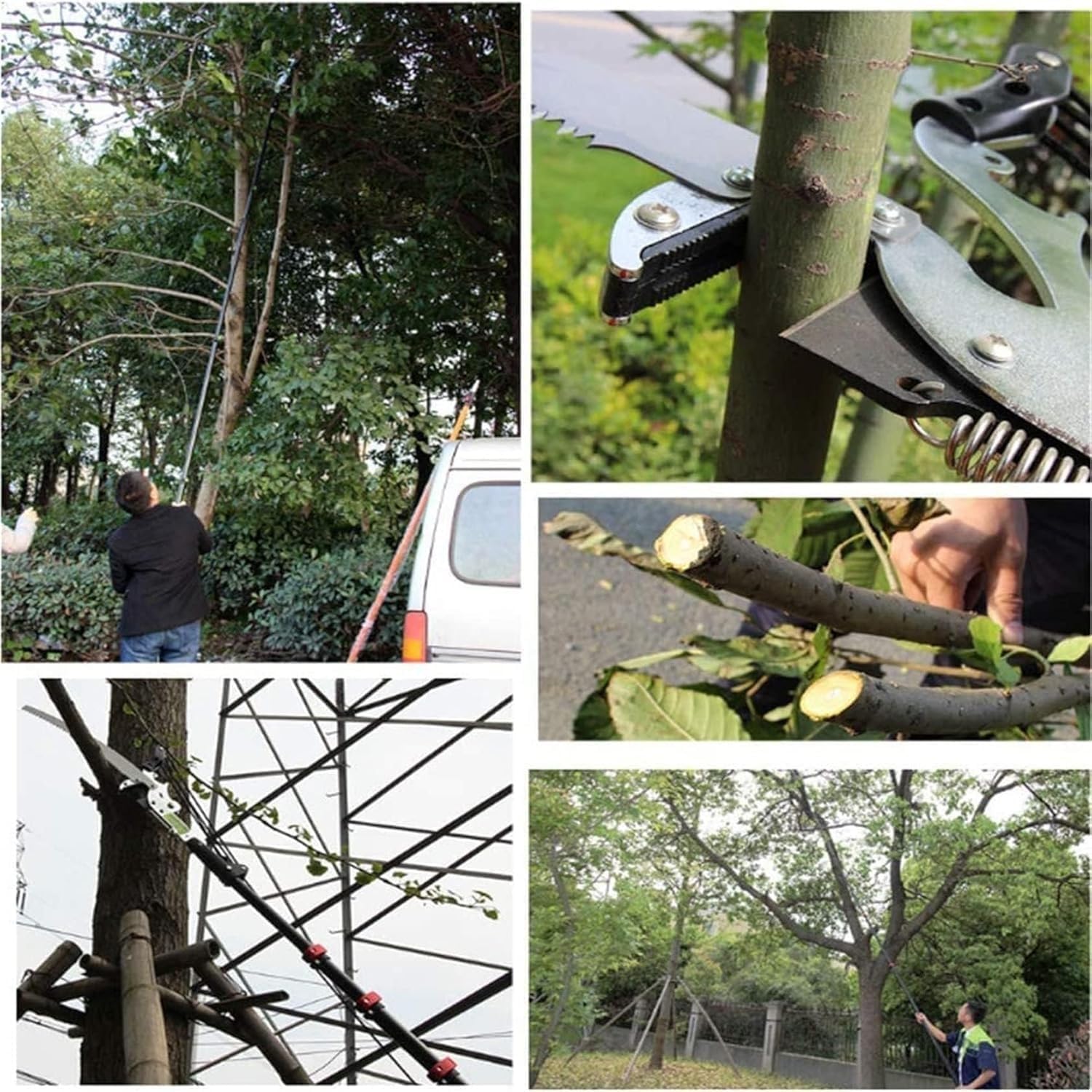 Cutting Branches,Telescopic Long Reach Pole Pruning Saw Tree Loppers for Cutting Trimming High Branches Leaves Shrubs Gardening | Professional Precise Cutting | Garden Hand Tool(3.6M (12FT))