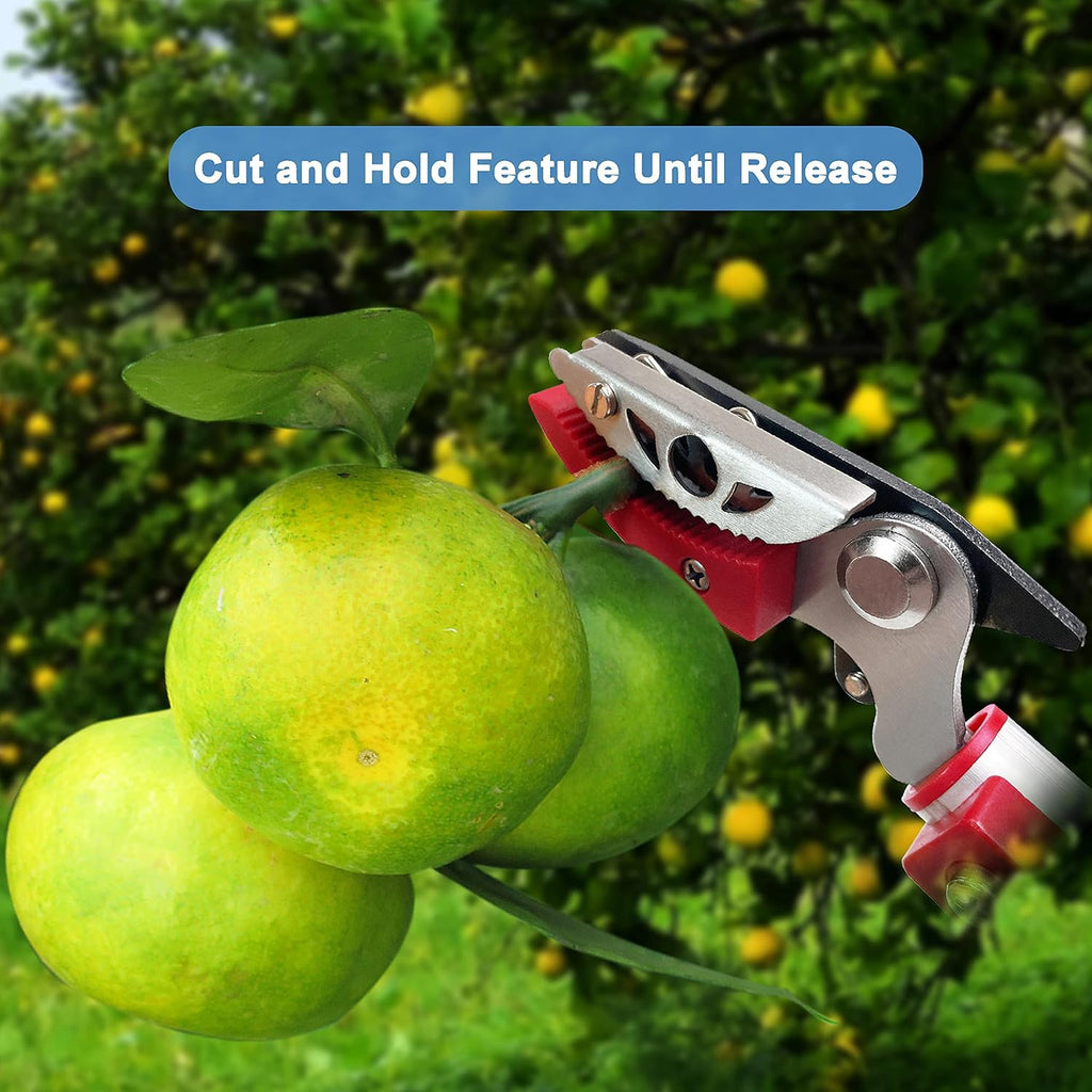 Extendable Tree Pruner & Trimmer 4 Section Telescoping Pole | 4.5-11.5 FT, Cut and Hold Clippers, Branch Cutter, Pole Saw, Lopper & Fruit Picker Tool, Long Handle Pruning Shears