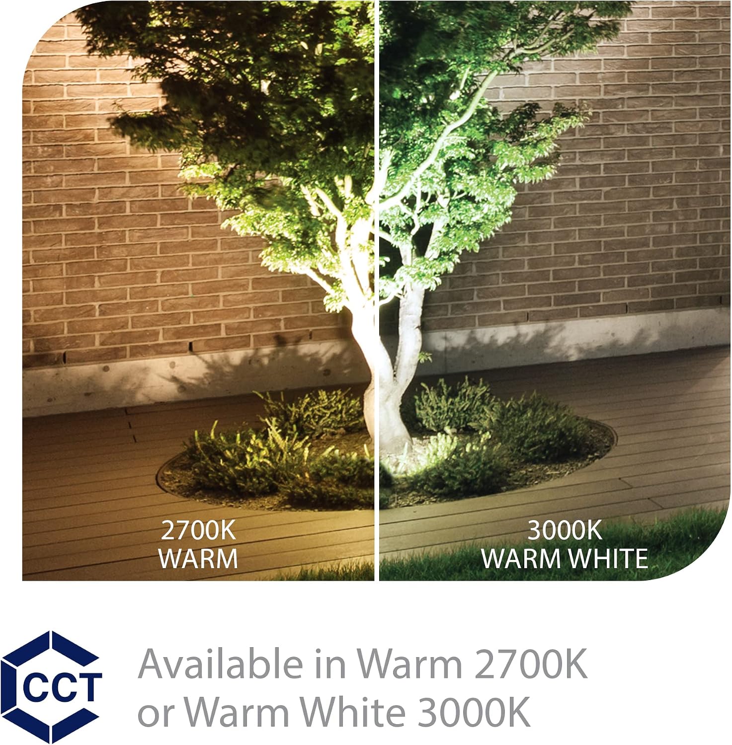 WAC Landscape Lighting, LED 12V Small Size Accent Light with Adjustable Beam Angle and Integral Brightness Control 50-420 Lumens 2700K Warm Built-in LED in Bronze