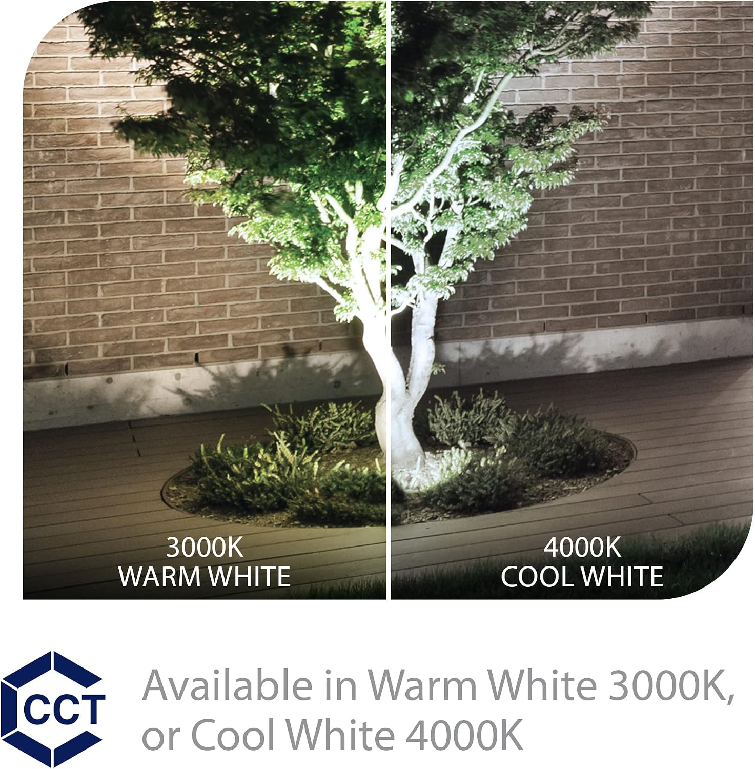 WAC Landscape Lighting, LED 120V Line Voltage Large Size Accent Light with Adjustable Beam Angle and Integral Brightness Control 4000K Cool White Built-in LED in Bronze