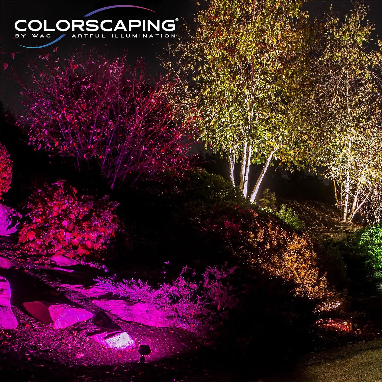WAC Lighting LED 12V Colorscaping Smart App Controllable Landscape Lighting with RGBWW Color Changing and Tunable White Wall Cylinder with Adjustable Beam Angle in Bronze