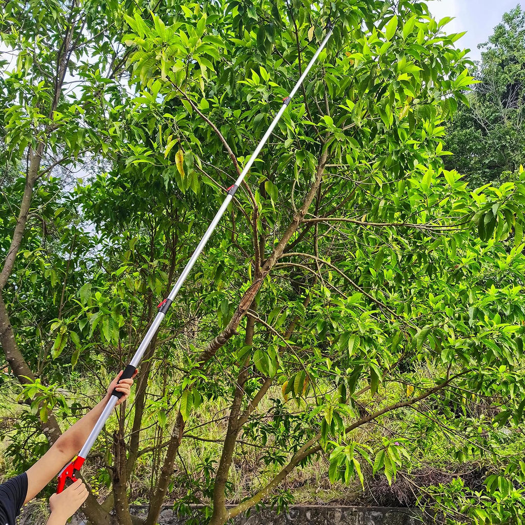 Extendable Tree Pruner & Trimmer 4 Section Telescoping Pole | 4.5-11.5 FT, Cut and Hold Clippers, Branch Cutter, Pole Saw, Lopper & Fruit Picker Tool, Long Handle Pruning Shears