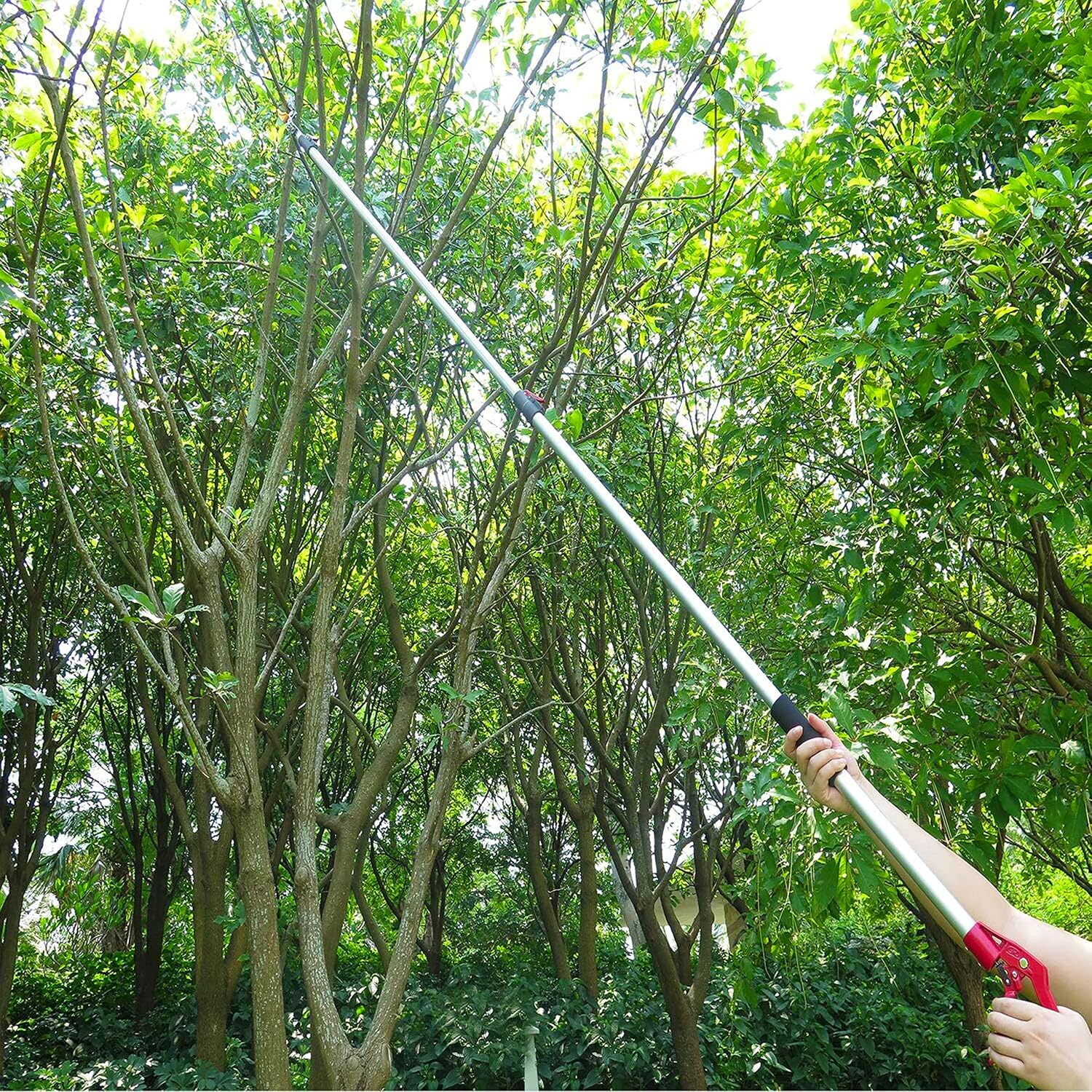 5.6-13 Foot Extendable Tree Pruner, Cut and Hold Pruning Trimmer, Long Reach Pole Saw, Telescoping Fruit Picker, Branches Bypass Lopper
